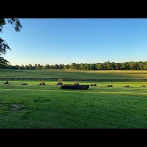 Meet your Posher, Thomas